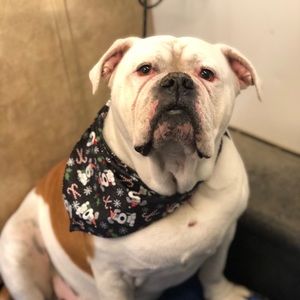 Meet your Posher, Cj